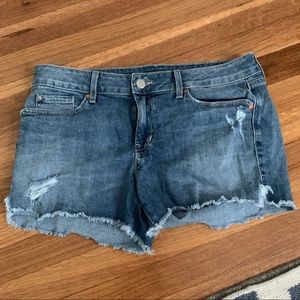 Level 99 distressed jean shorts! Size 29